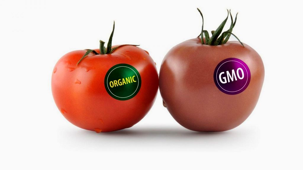 Muiden kuin GMO-elintarvikkeiden sertifiointi