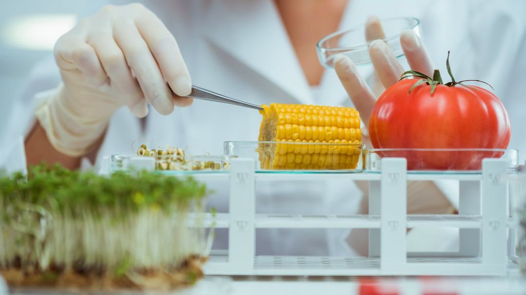 Mikä on elintarviketurvallisuustodistus?