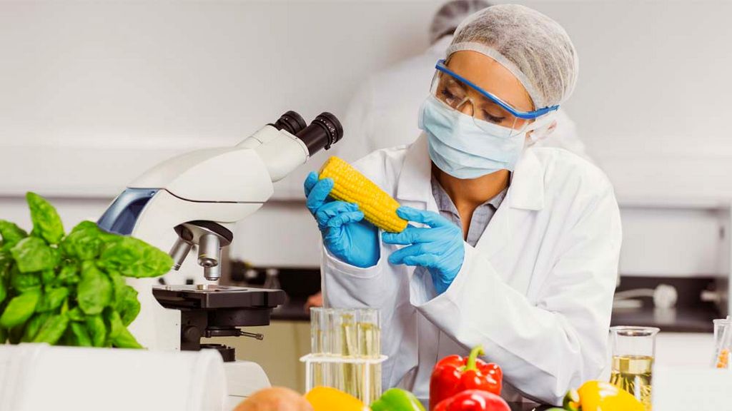 Gıda Güvenliği Sistemi (FSS) Nedir?