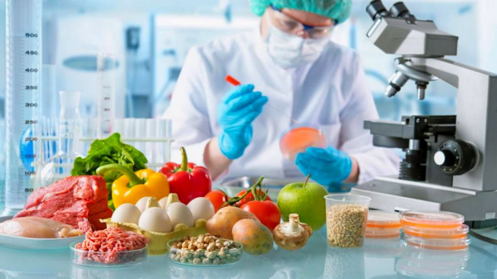 Mitkä ovat elintarviketurvallisuusjärjestelmän perusperiaatteet?