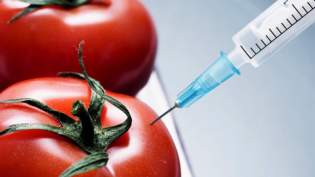 Elintarviketurvallisuus ja geneettisesti muunnetut organismit