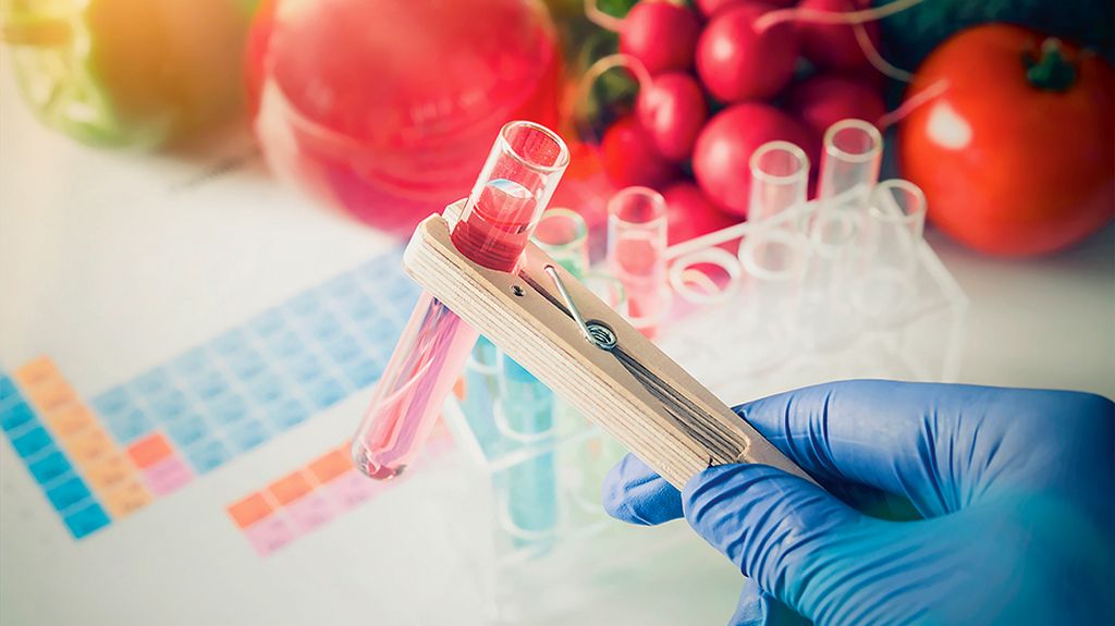 Gıdalarda Yapay Tatlandırıcılar ve Katkı Maddelerinin Kontrol Testleri